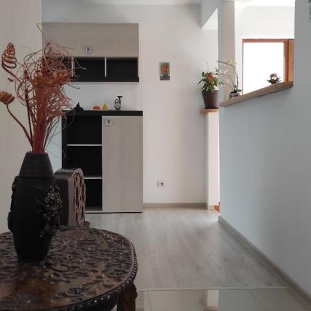 Apartament Trei Stejari シビウ エクステリア 写真