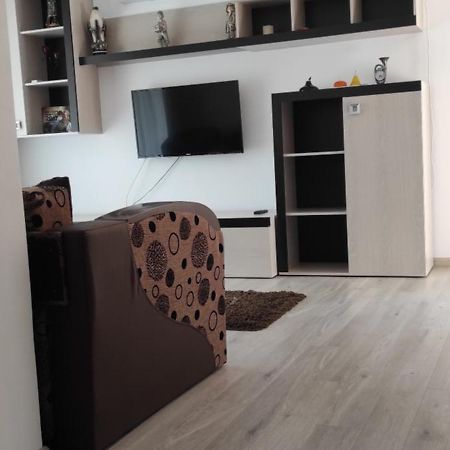 Apartament Trei Stejari シビウ エクステリア 写真