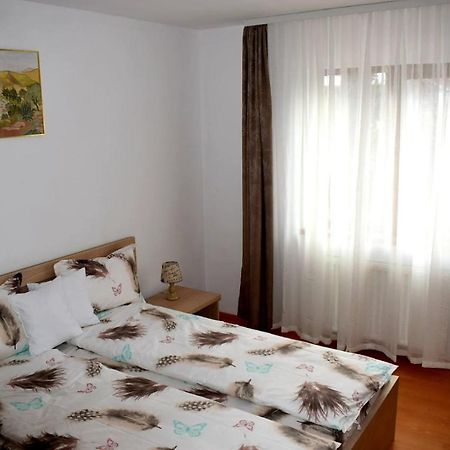 Apartament Trei Stejari シビウ エクステリア 写真