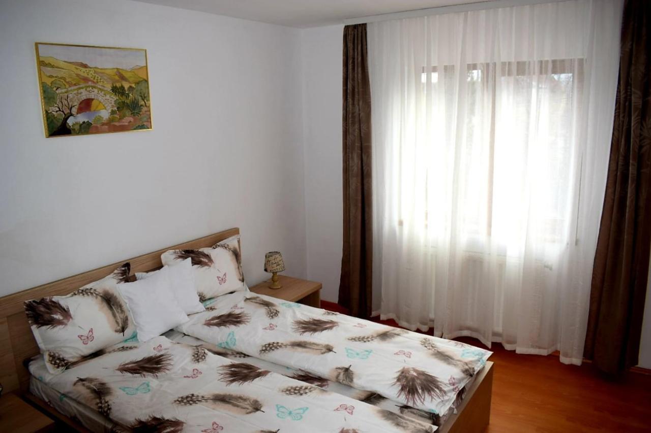 Apartament Trei Stejari シビウ エクステリア 写真