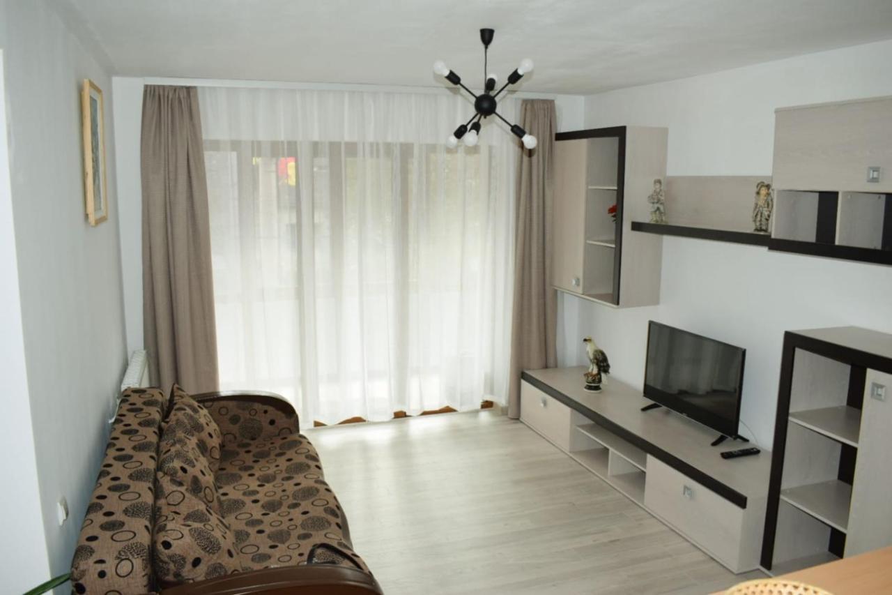 Apartament Trei Stejari シビウ エクステリア 写真