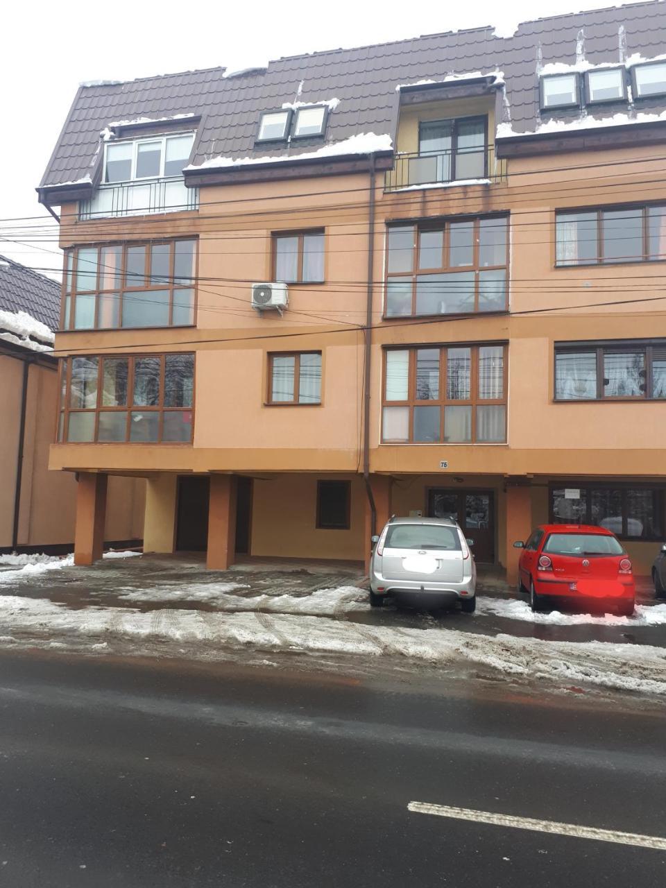 Apartament Trei Stejari シビウ エクステリア 写真